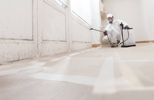 24/7 Emergency Crawl Space Mold Removal experts in Georgetown, KY