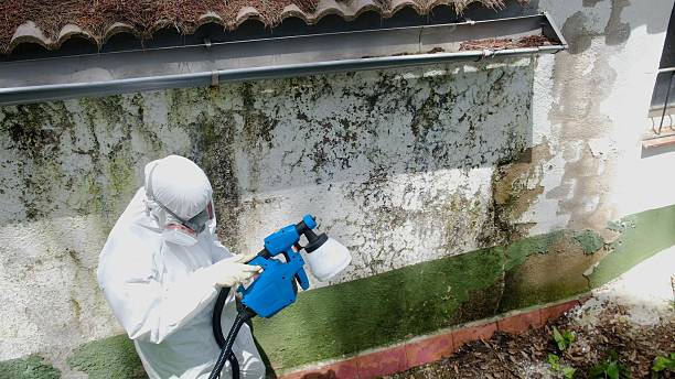 Top rated local Mold Remediation specialists in Georgetown, KY